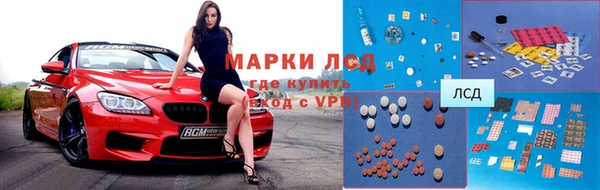 гашик Алексин