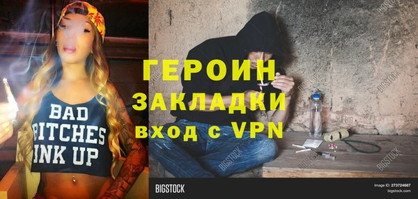 гашик Алексин