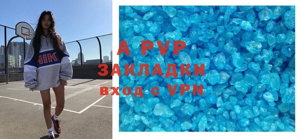 стаф Алзамай