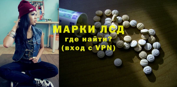 стаф Алзамай