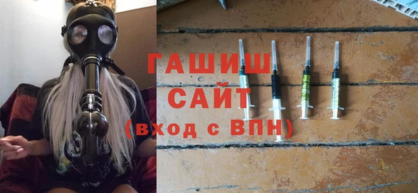 гашик Алексин