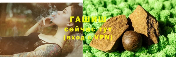 гашик Алексин
