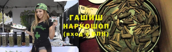 гашик Алексин