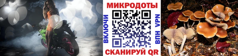 Псилоцибиновые грибы мицелий  Харовск 